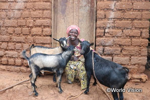 支援を通してヤギを飼育するコンゴ民主共和国の女性