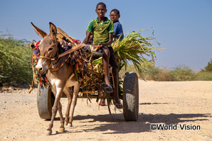 食料不足の深刻化するソマリアで、学校へ行けず働く子どもたち