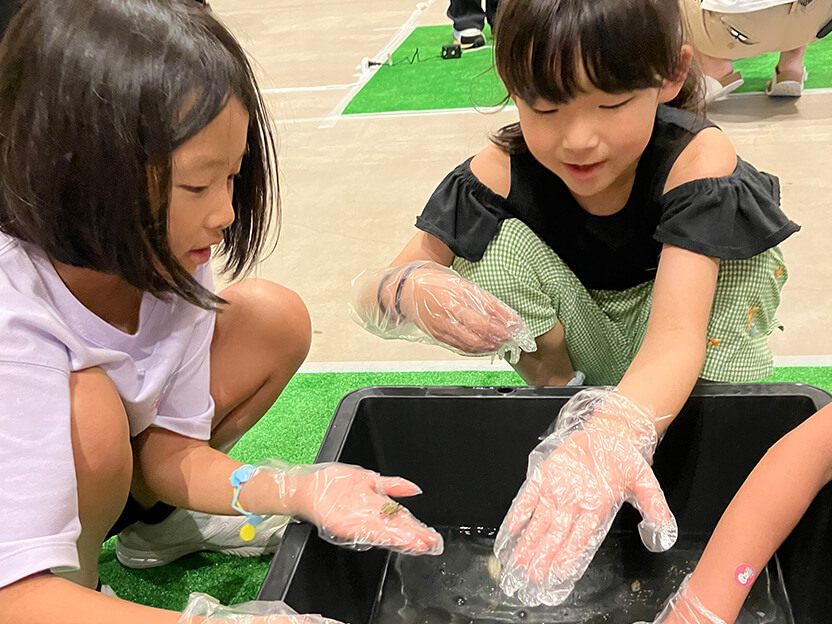8月10日に実施した遠足で水族館を訪れ、水の生き物と触れ合う子どもたち