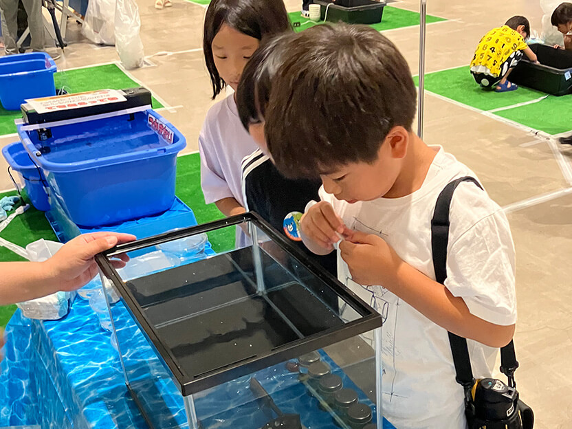 水の生き物と触れ合う子どもたち