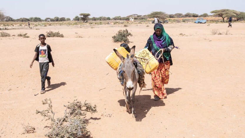 慢性的な干ばつにより水や食糧の不足が深刻化しています