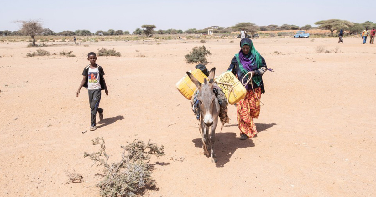 3分でわかるソマリア ～ソマリアって、どんな国？～