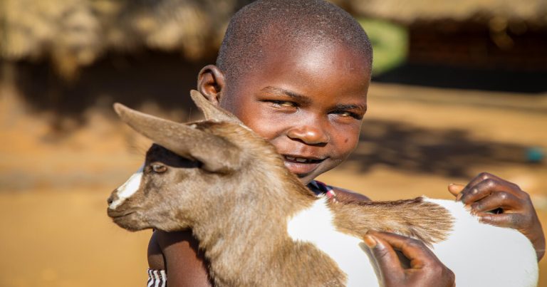 南スーダン難民はなぜ多い？独立後の内戦の原因や支援の現状を解説
