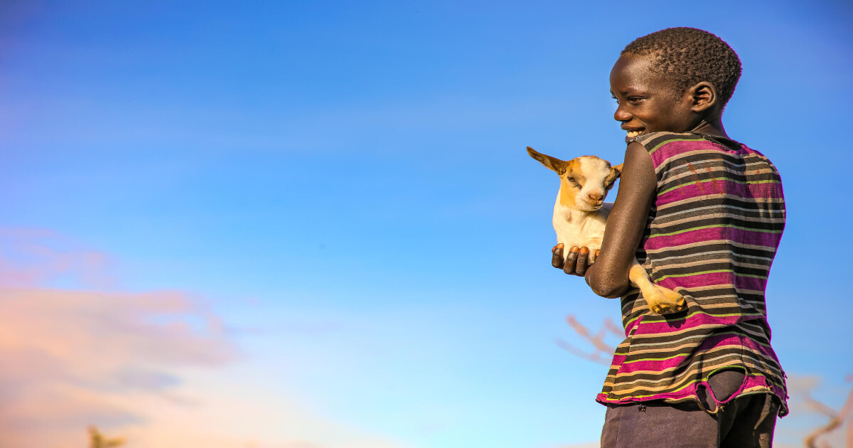 ウガンダはなぜ難民受け入れ大国なのか？内戦の歴史と難民政策を解説