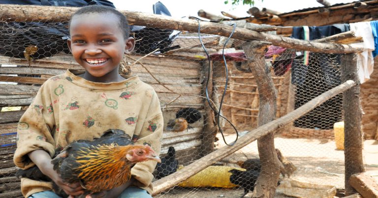 タンザニアの難民｜数の変化やブルンジ難民政策の歴史、支援状況