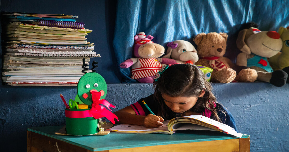 エクアドルの教育の現状と問題【データを用いて分かりやすく解説】