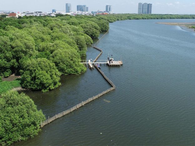 事業対象地域の様子
