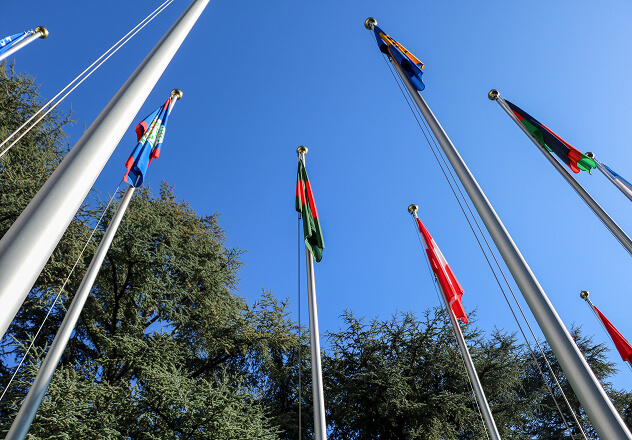 政府・国連等との連携事業