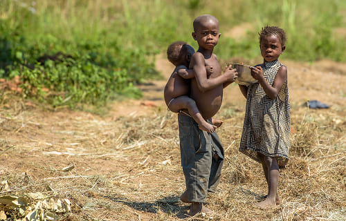 子どもの権利条約 第4条