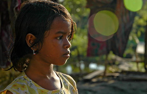 子どもの権利条約 第36条