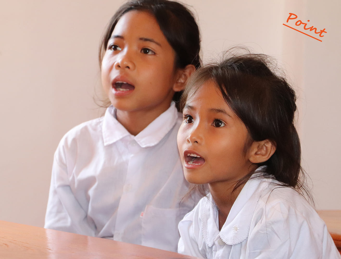 カムちゃん(ラオス)