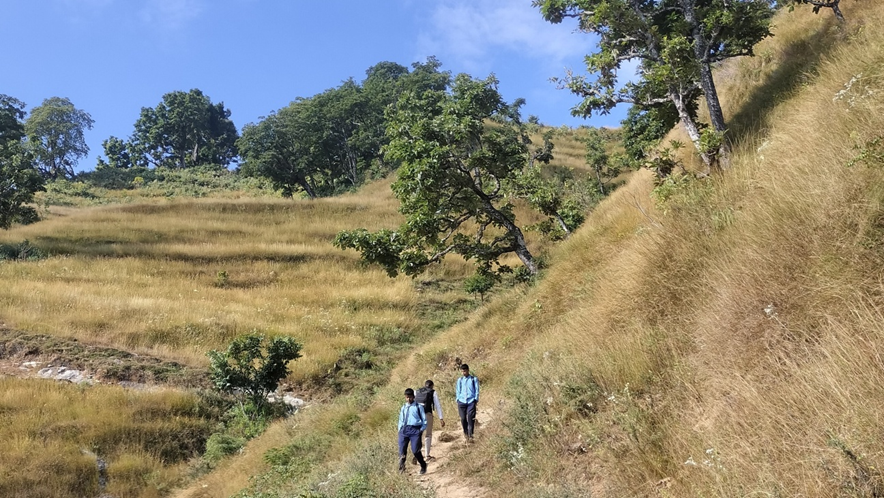 車道を離れたら、そこから先は徒歩