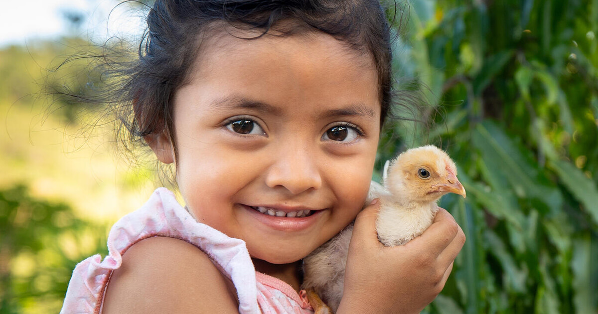 2025年度 「年次報告書」を発行しました