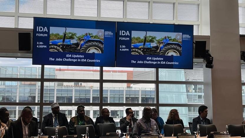 IDAに関するサイドイベント