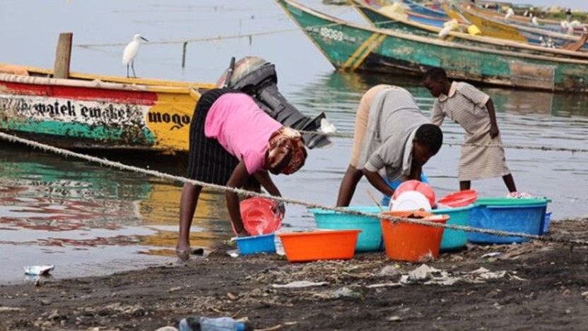 ケニア、ビクトリア湖で皿洗いをする女性たち