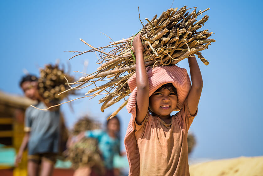 森林は生活を支えるライフライン