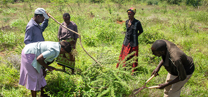 現場での活動の様子