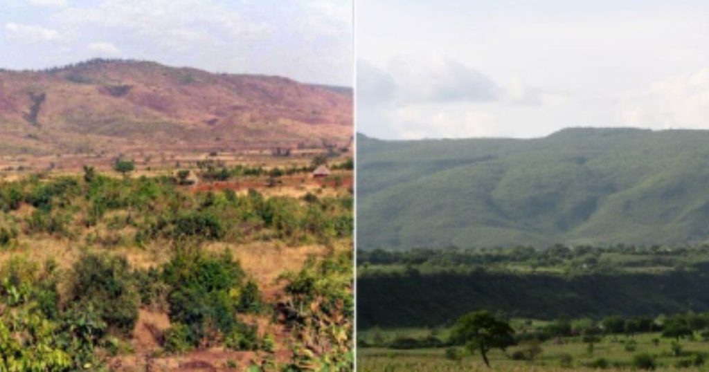 Humbo地区のプロジェクト地(左2006年、右2015年)
