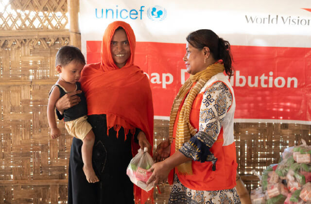 政府・国連等と協働