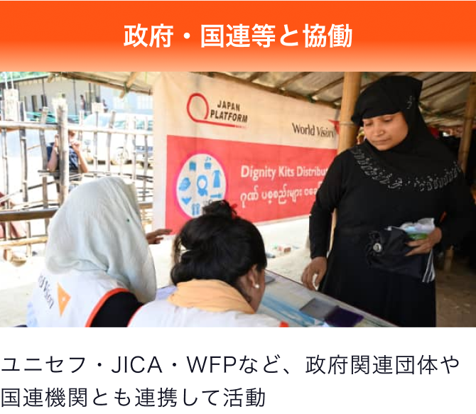 政府・国連等と協働