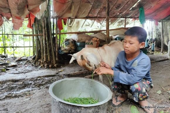 ミャンマーで暮らす12歳のチャンくん