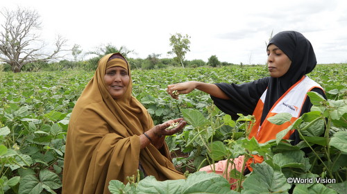 気候変動と新型コロナに農業で立ち向かうケニアの女性