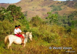 馬で通学するインドネシアの兄弟
